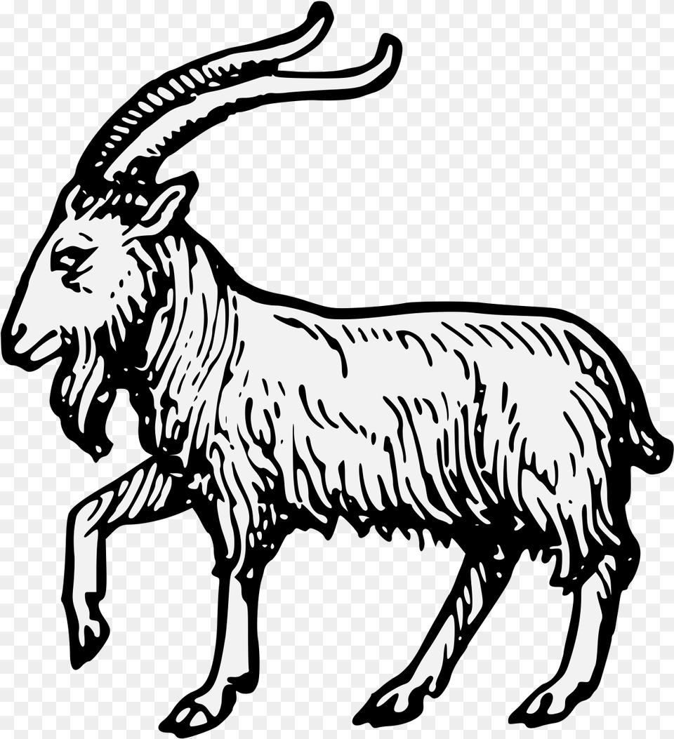 Goat Goat Passant, Animal, Mammal, Dinosaur, Lion Png