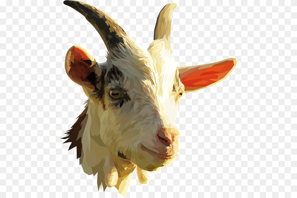 Goat Head, Livestock, Animal, Mammal, Fish Free Transparent Png