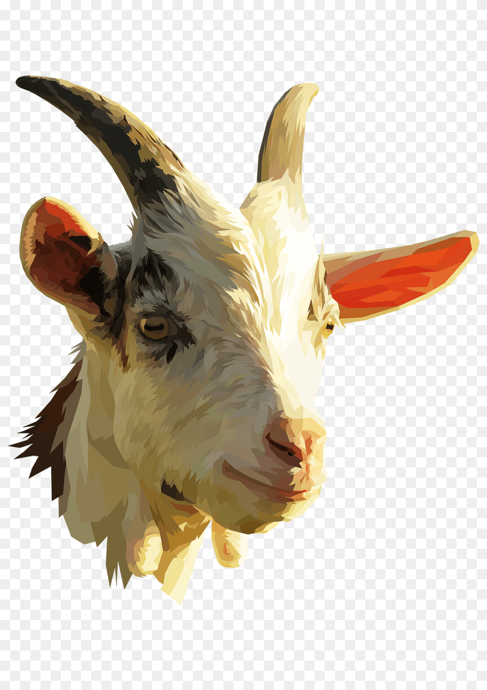 Goat Head Clipart, Livestock, Animal, Mammal, Dinosaur Png Image