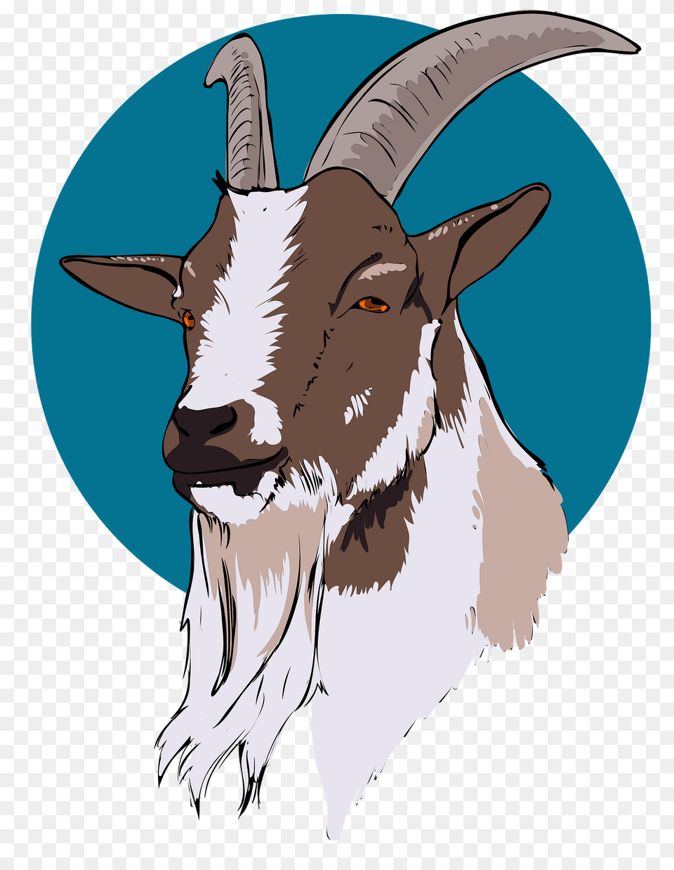 Goat Head Clipart, Livestock, Animal, Mammal, Mountain Goat Free Transparent Png