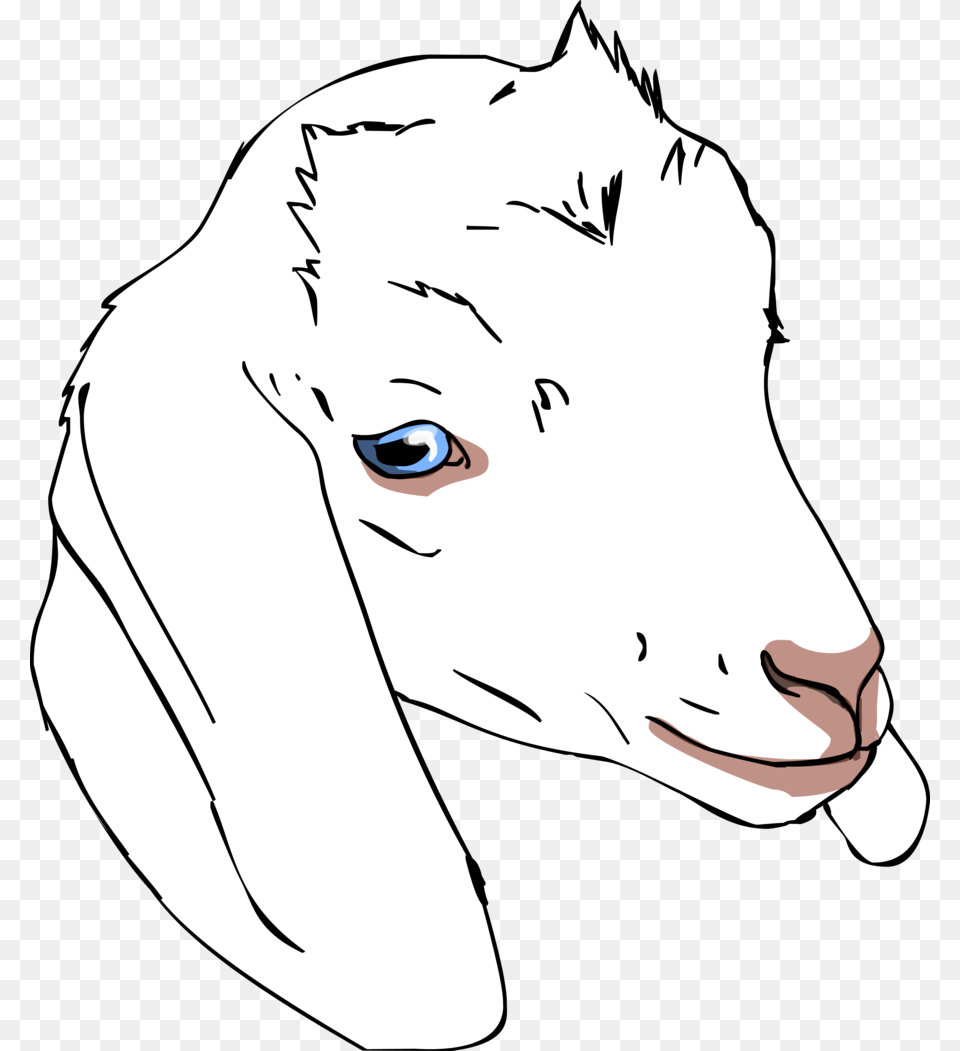 Goat Head Drawing For Kids Goat Drawing For Kids Goat Goat Face Drawing, Person, Livestock, Animal, Mammal Free Transparent Png