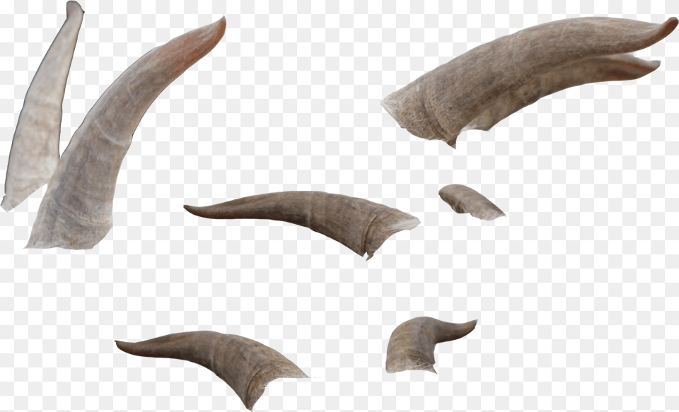 Goat Horns Horns, Electronics, Hardware Free Png