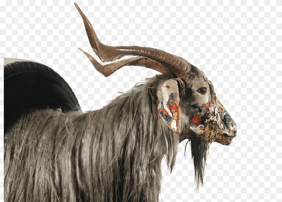 Goat Image Moderna Museet Get, Animal, Antelope, Livestock, Mammal Free Transparent Png