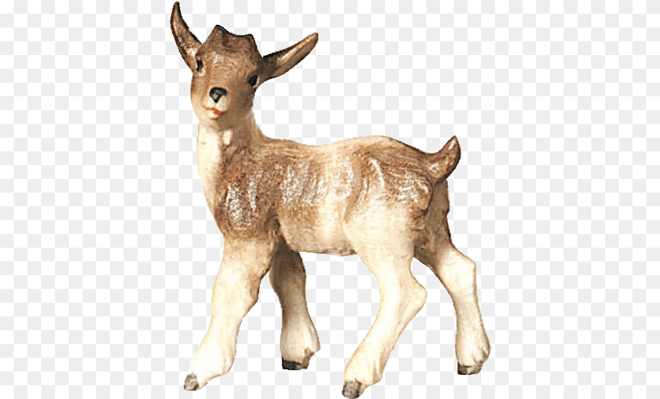 Goat Kid, Livestock, Animal, Mammal, Antelope Free Png Download