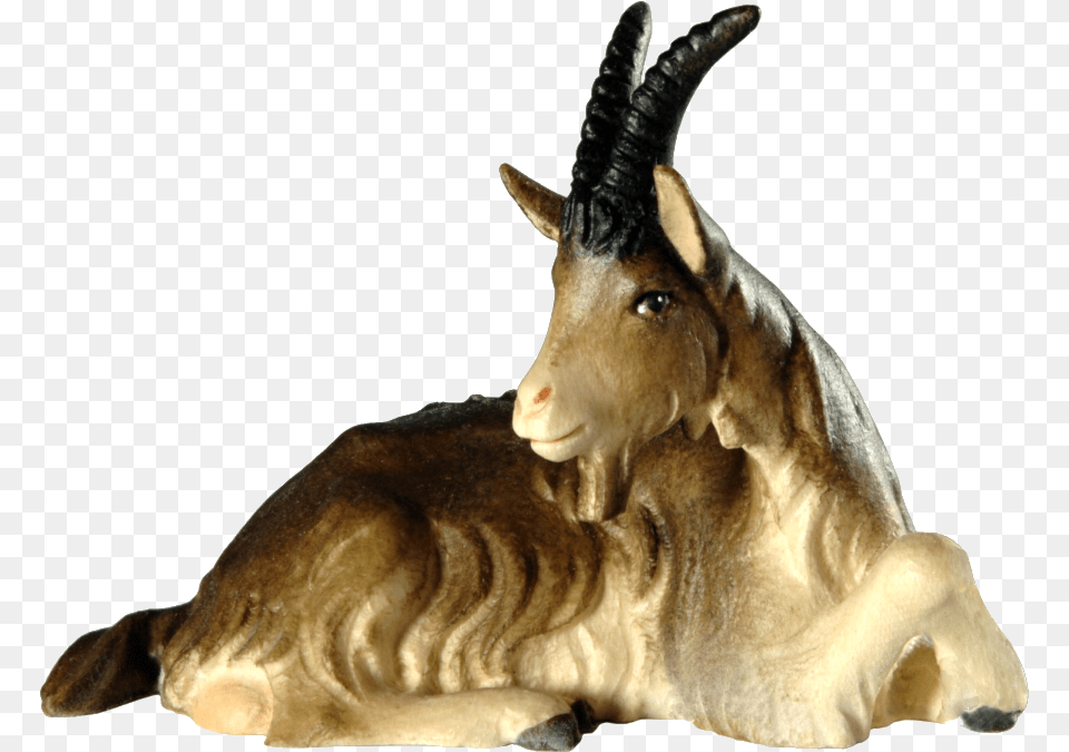 Goat Lying, Animal, Mammal, Livestock, Antelope Png