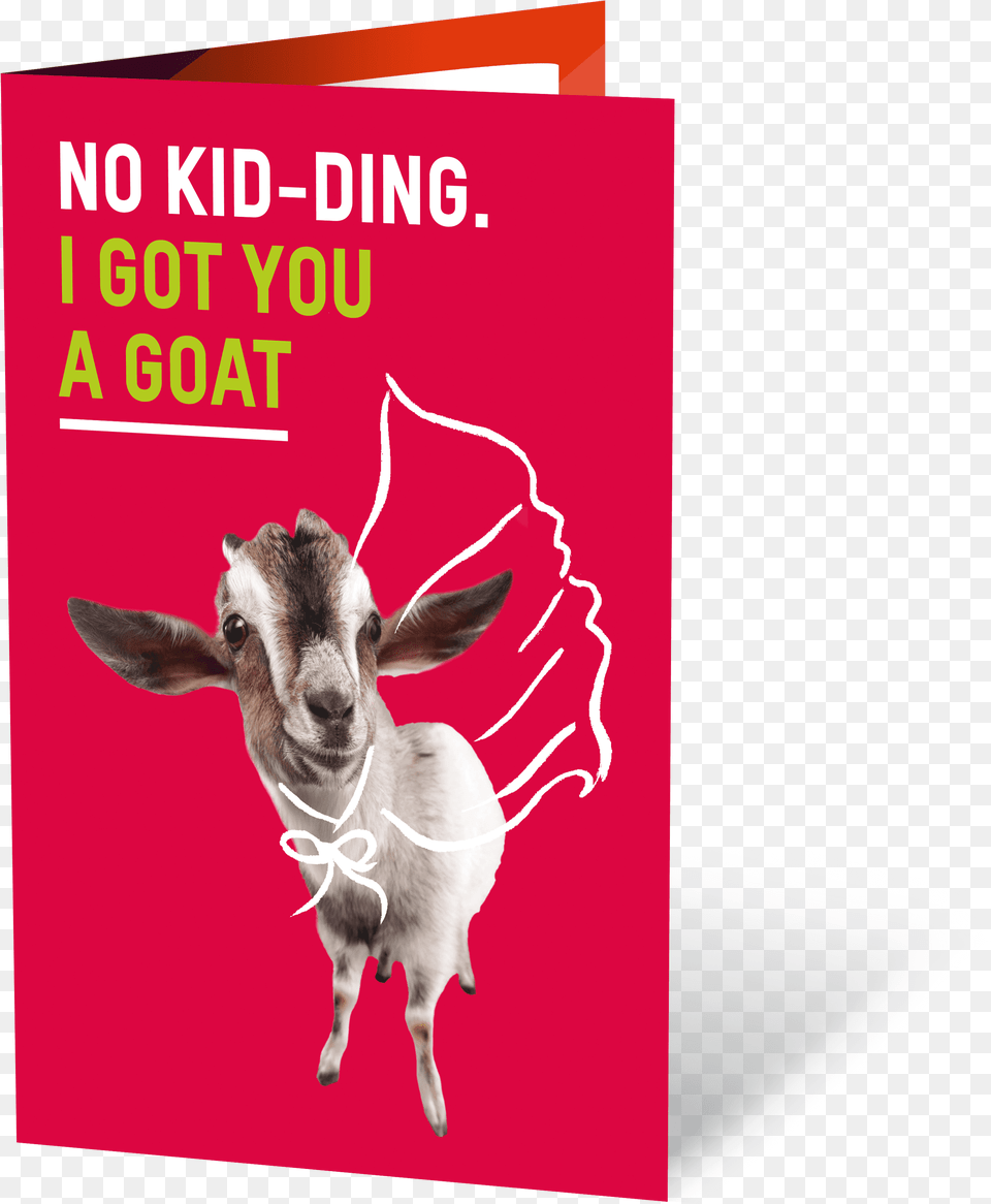 Goat No K Goat, Livestock, Animal, Antelope, Mammal Png Image