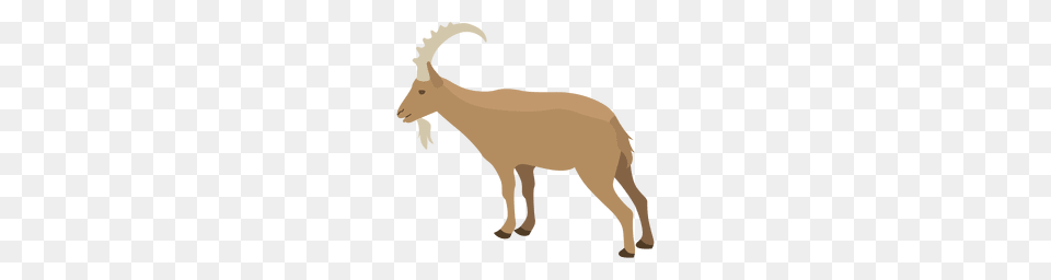 Goat Or To Download, Animal, Mammal, Livestock, Kangaroo Free Png