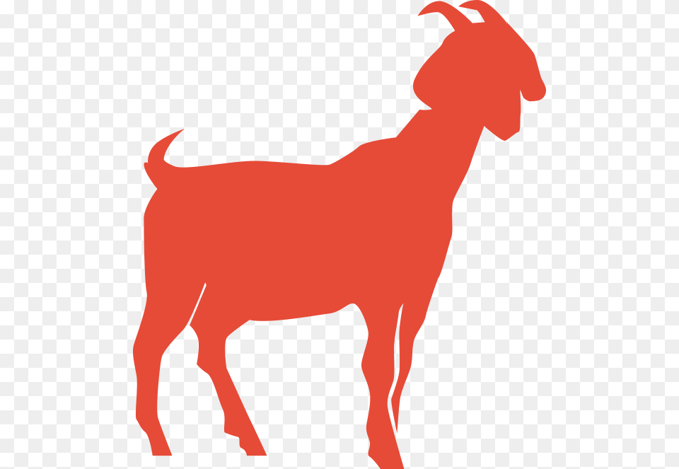 Goat Sheep Cattle Mammal Dog Free Transparent Png