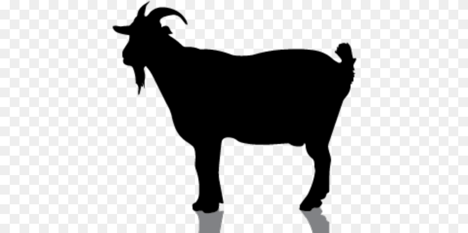 Goat Silhouette Png Image