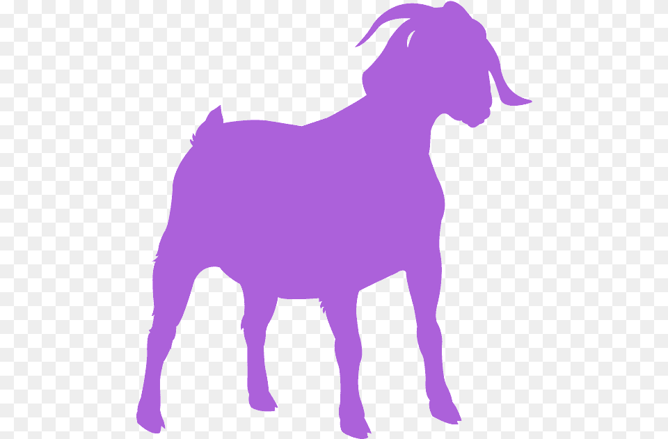 Goat Silhouette, Livestock, Mammal, Animal, Person Png