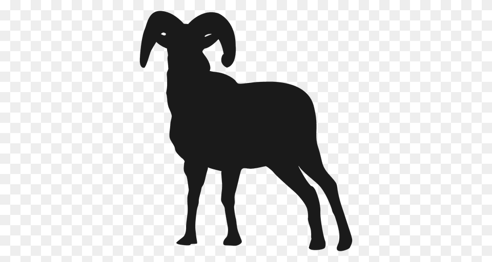Goat Silhouette, Animal, Livestock, Mammal, Sheep Png Image