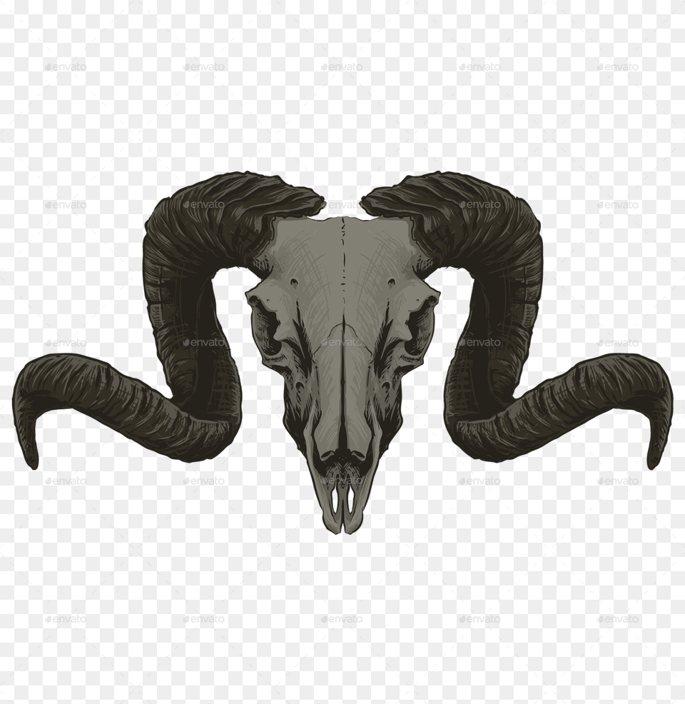 Goat Skull, Person Png Image