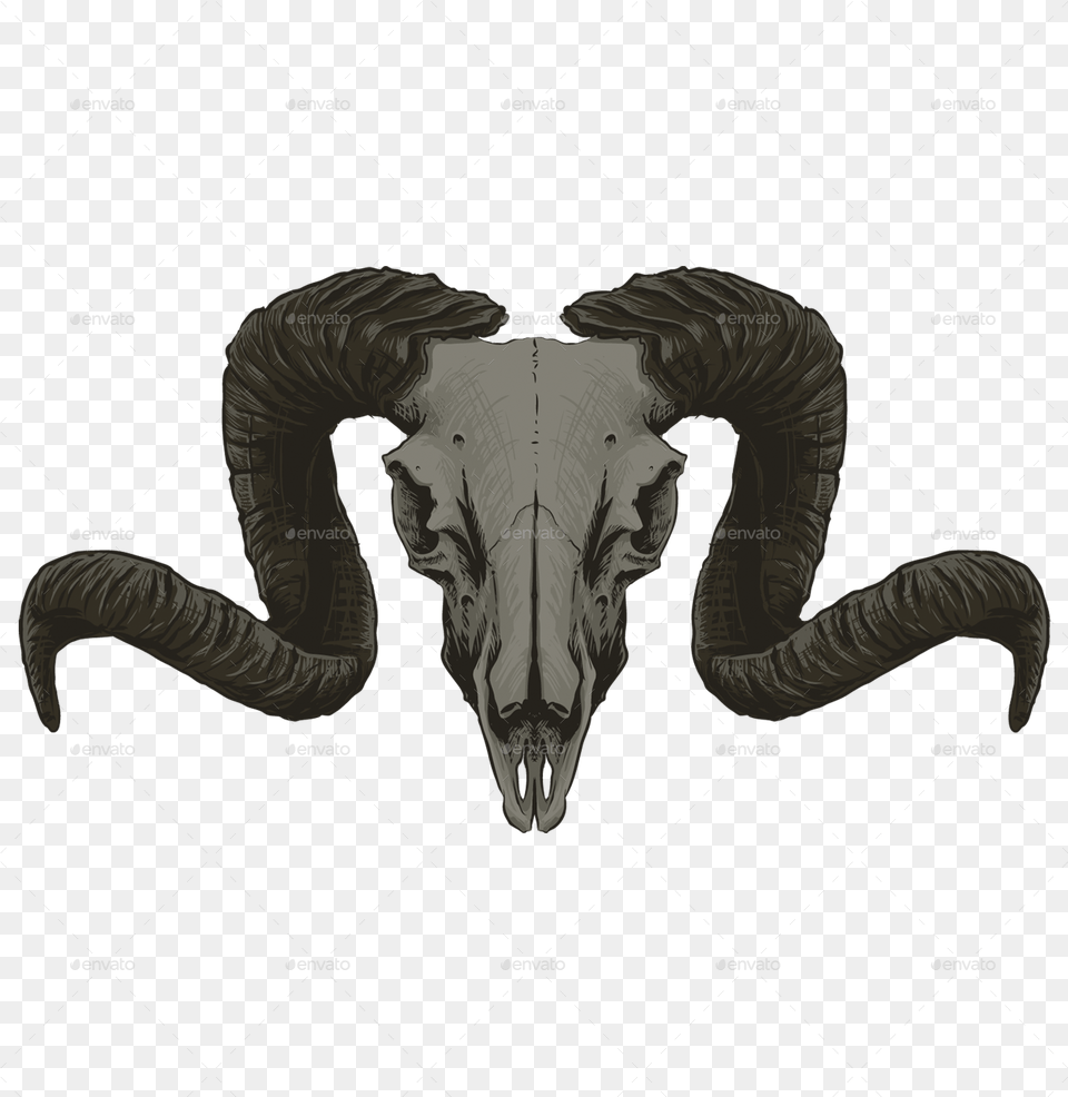 Goat Skull Goat Skull, Animal, Kangaroo, Mammal Png Image
