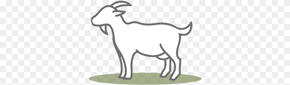 Goat Standards U0026 Application Global Animal Partnership Transparent One Line Animal, Livestock, Mammal, Mountain Goat, Wildlife Free Png