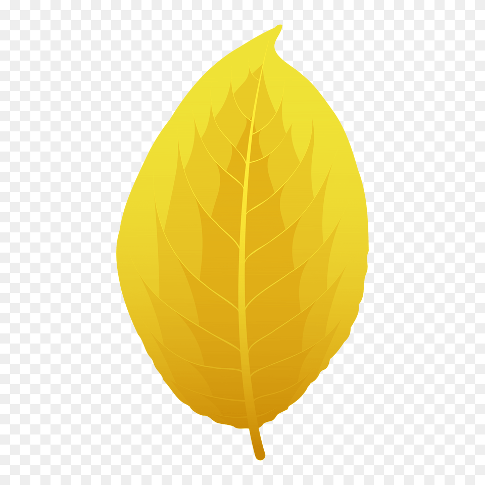 Goat Willow Autumn Leaf Clipart, Plant, Astronomy, Moon, Nature Free Png