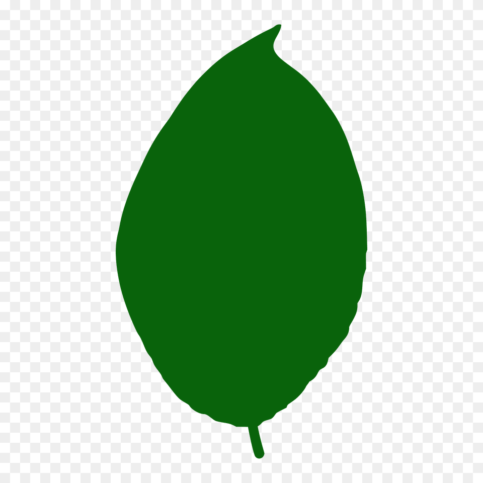 Goat Willow Leaf Silhouette, Plant, Green, Food, Fruit Png Image