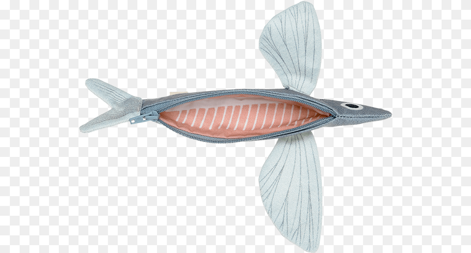 Goatfishes, Animal, Sea Life, Fish, Adult Png