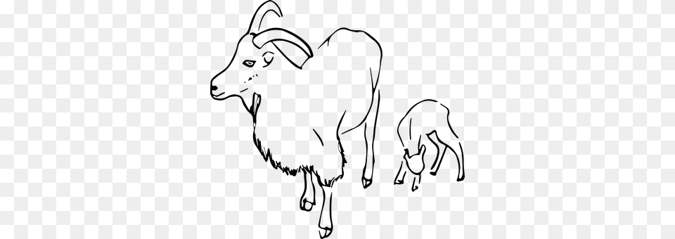 Goats Gray Png Image