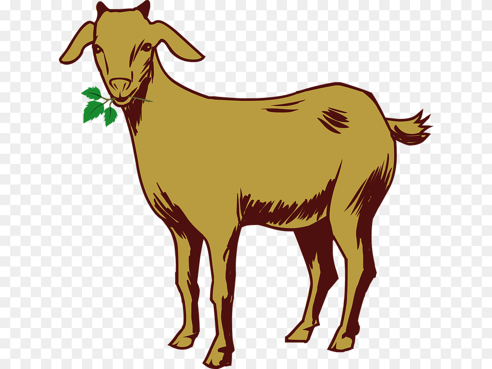 Goats Head Clipart Binatang, Livestock, Goat, Animal, Mammal Free Png