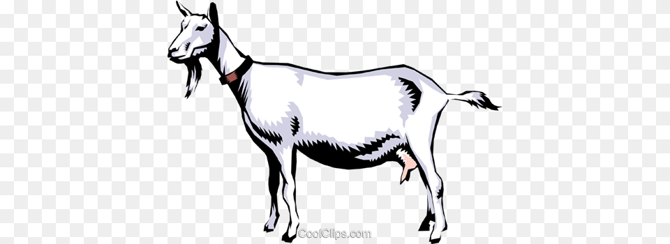 Goats Royalty Vector Clip Art Illustration, Livestock, Animal, Goat, Mammal Free Png Download