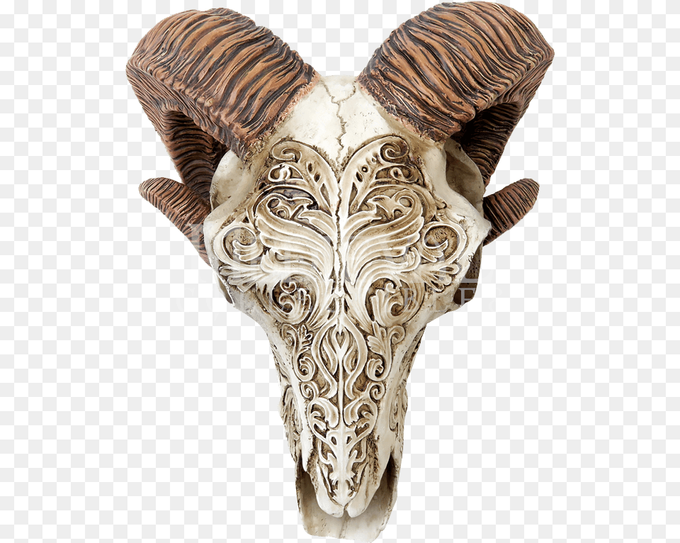 Goats Skull Scrimshaw, Adult, Female, Person, Woman Free Transparent Png