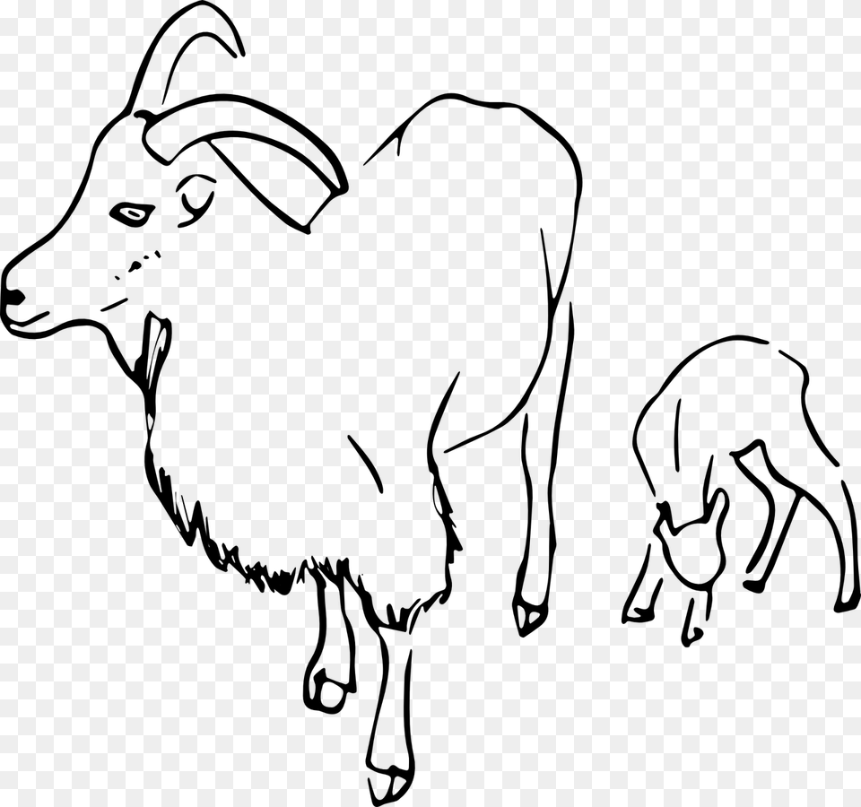 Goatvectorimagefree Vector Graphics Clip Art, Gray Free Png Download