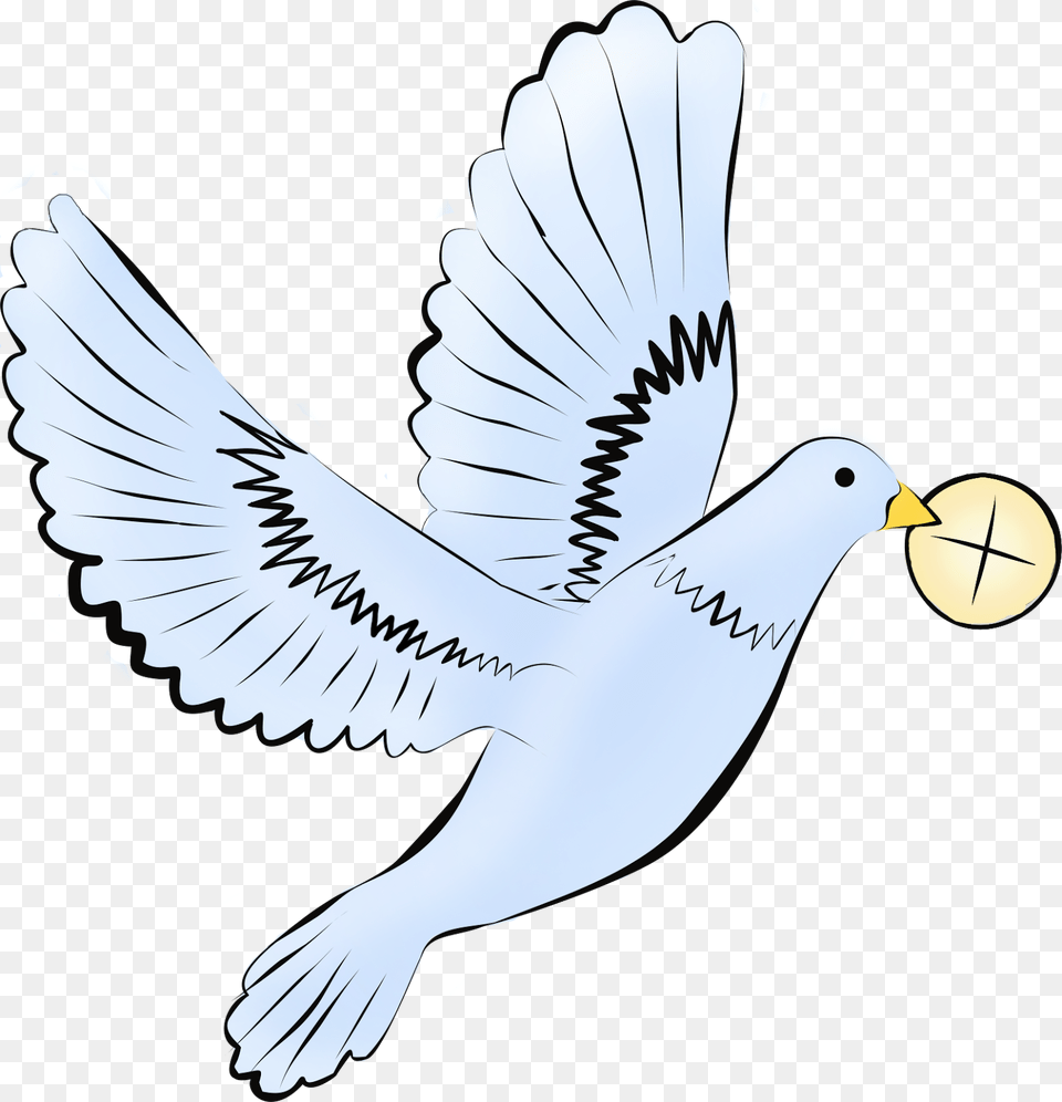 Gobek Ihs, Animal, Bird, Pigeon, Dove Free Transparent Png