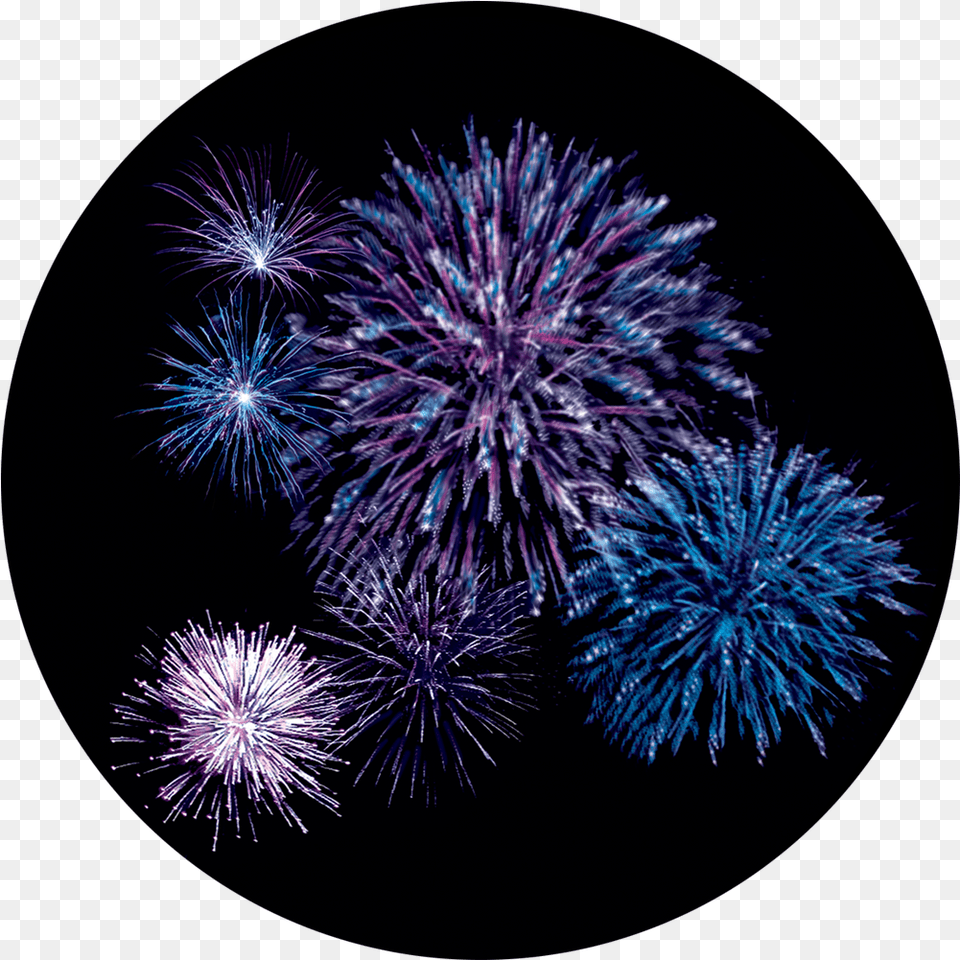 Gobo Fireworks, Plant Png
