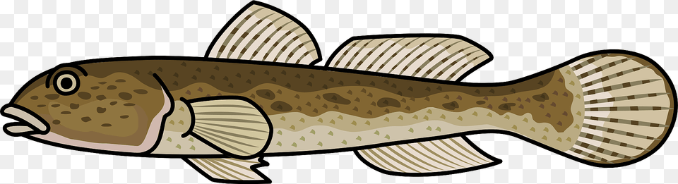 Goby Fish Clipart, Animal, Cod, Sea Life, Shark Free Png