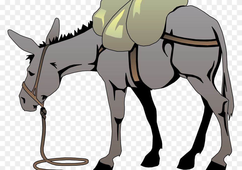 God And Duration Of Our Life Donkey Clip Art, Person, Animal, Mammal Free Transparent Png