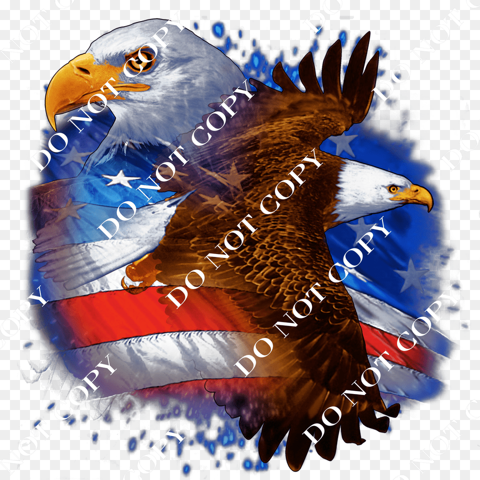 God Bless America, Animal, Beak, Bird, Eagle Free Png