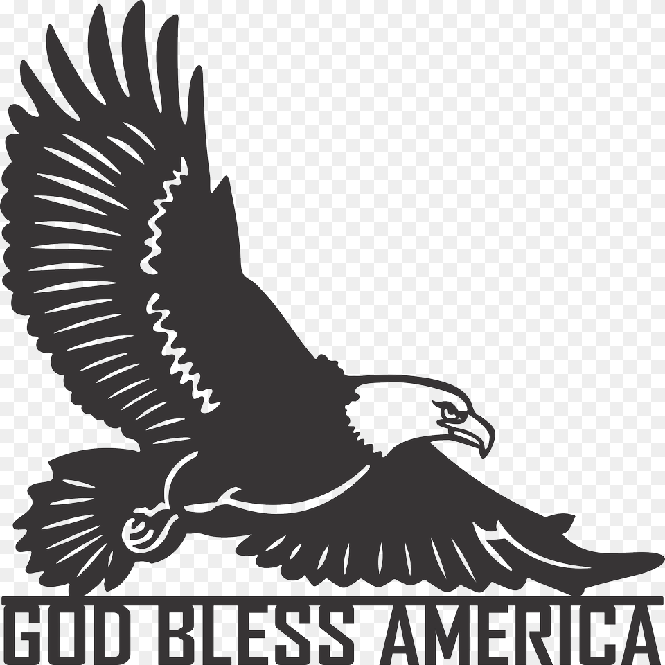 God Bless America Eagle Patriotism, Animal, Bird, Flying, Vulture Free Png