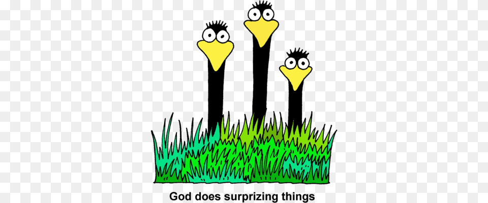 God Does Surprising Things God Clip Art, Grass, Plant, Animal, Bird Png Image