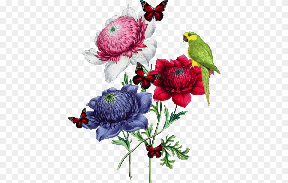 God Knows What39s Best For Us So, Pattern, Plant, Flower, Dahlia Free Png
