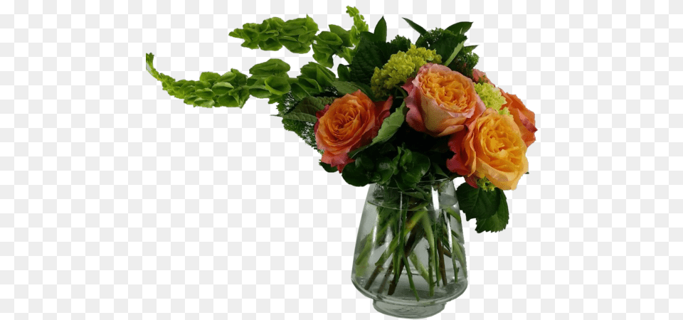 God S Garden Treasuresclass Garden Roses, Art, Potted Plant, Plant, Pattern Free Png