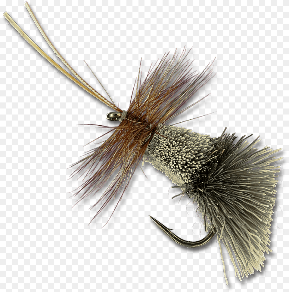 Goddard Caddis Animal, Electronics, Hardware, Bird Free Png Download