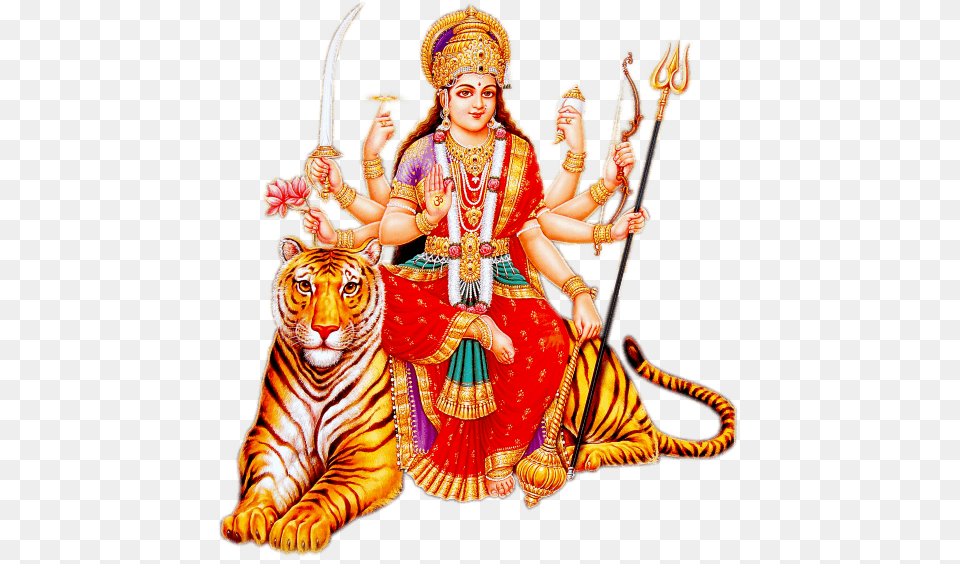 Goddess Durga Maa Tiger, Woman, Adult, Wedding, Bride Free Png Download