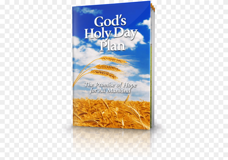 Gods Holy Day Plan Gods Holy Day Plan Booklet, Book, Publication, Food, Grain Png Image