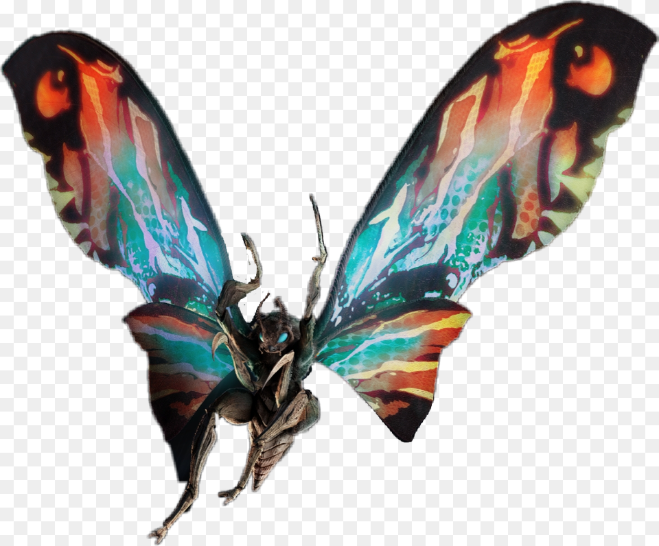 Godzilla Mothra Mothra 2019 Transparent, Wasp, Invertebrate, Insect, Bee Png Image