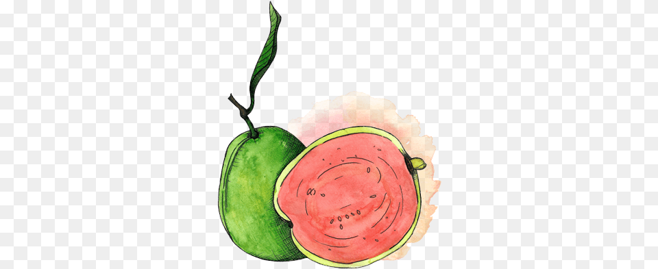 Goiaba Splash Guava, Food, Fruit, Plant, Produce Free Png Download
