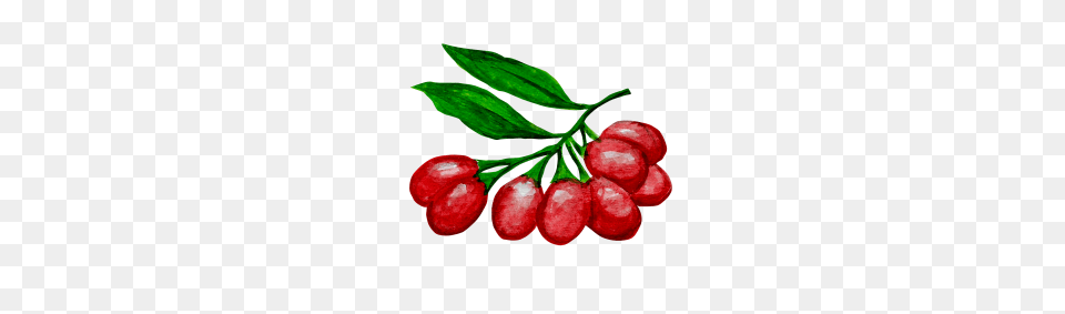 Goji Berries Image, Food, Fruit, Plant, Produce Png
