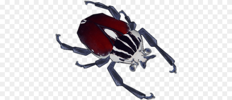 Gol Goliath Beetle, Animal, Appliance, Ceiling Fan, Device Free Transparent Png