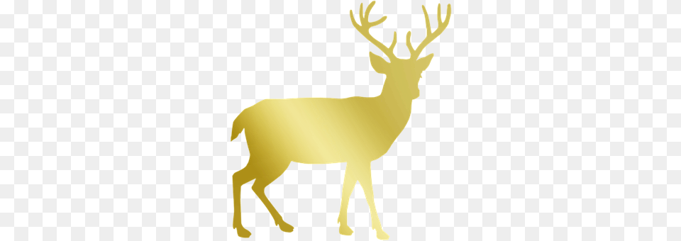 Gold Animal, Deer, Mammal, Wildlife Free Transparent Png