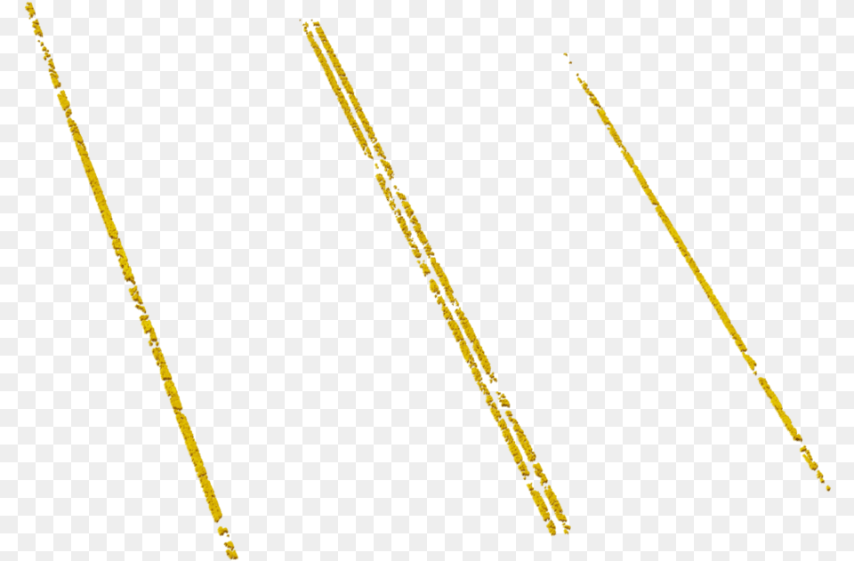 Gold, Road, Accessories, Jewelry, Necklace Free Png