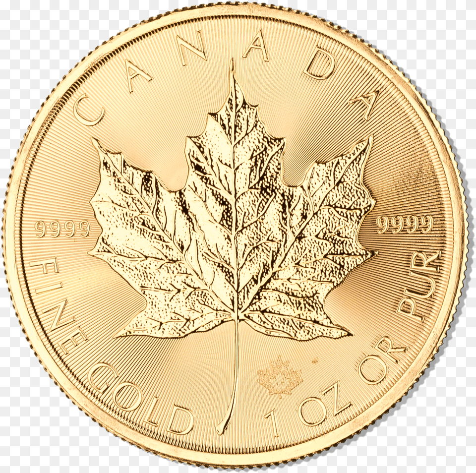 Gold Png Image