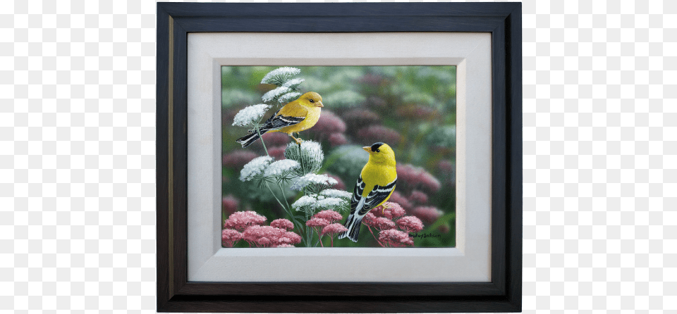 Gold Amp Lace American Goldfinch, Animal, Bird, Finch, Art Free Png Download