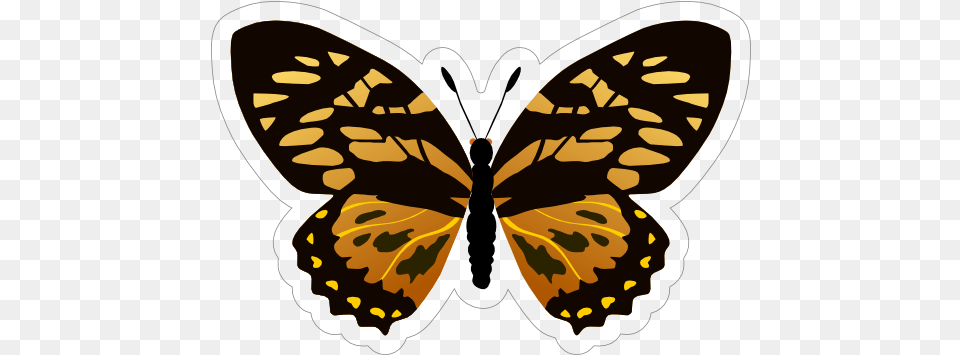 Gold And Black Butterfly Sticker Gold And Black Butterfly, Animal, Insect, Invertebrate, Person Png Image