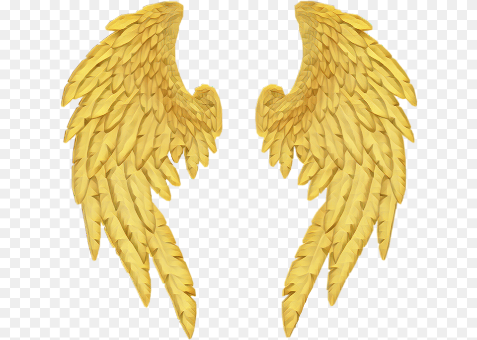 Gold Angel Wings Gold, Animal, Bird Png