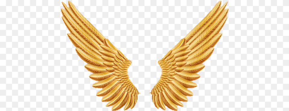 Gold Angel Wings Golden Angel Wings, Accessories, Jewelry, Necklace, Animal Png
