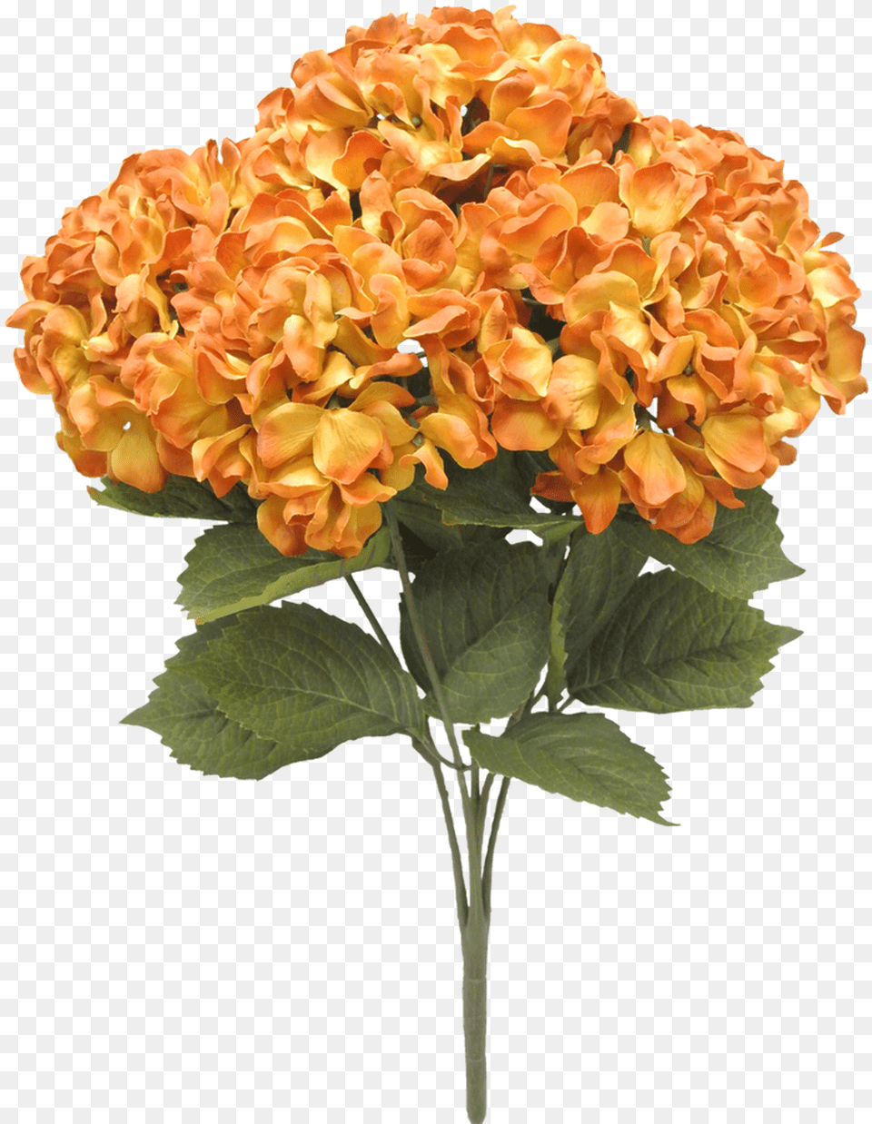 Gold Artificial Flower, Dahlia, Flower Arrangement, Flower Bouquet, Geranium Free Transparent Png